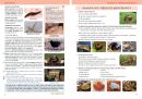 Přírodopis 6 - Úvod do přírodopisu - učebnice, Čtení s porozuměním (5. vydání)
