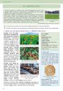 Přírodopis 7 - Zoologie a botanika, Čtení s porozuměním