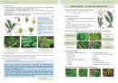 Přírodopis 7 - Zoologie a botanika, Čtení s porozuměním (3. vydání)