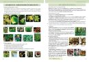 Přírodopis 7 - Zoologie a botanika, Čtení s porozuměním (3. vydání)