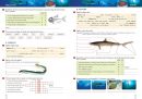 Přírodopis 7 - Zoologie a botanika - pracovní sešit, Čtení s porozuměním (2. vydání)