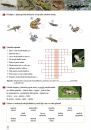 Přírodopis 7 - Zoologie a botanika - pracovní sešit, Čtení s porozuměním