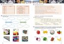 Chemie 8 - Úvod do obecné a anorganické chemie, pracovní sešit, Čtení s porozuměním (2. vydání)
